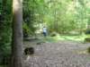 HWK 2012 098_small.jpg